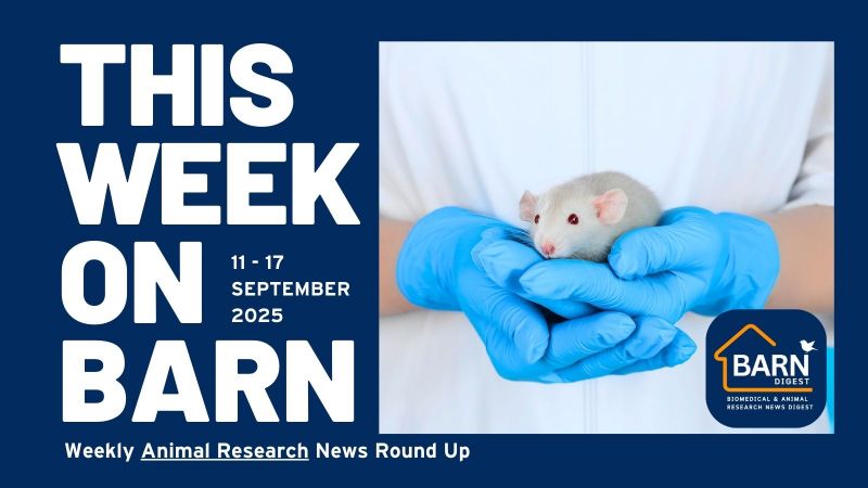 This week on BARN - animal research news from UAR members (11 - 17 September 2025)