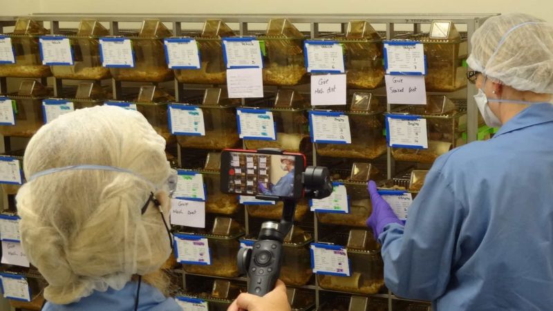 2018 Openness Awards