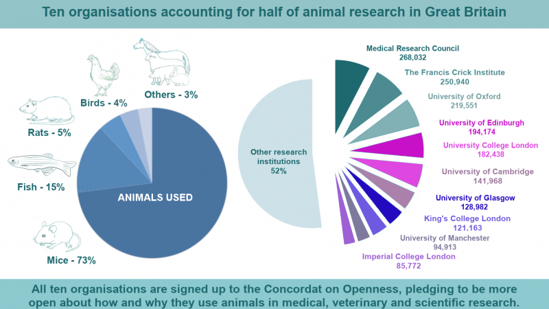 Ten organisations account for half of all animal research in Great Britain in 2018