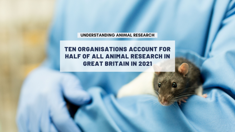 Ten organisations account for half of all animal research in Great Britain in 2021