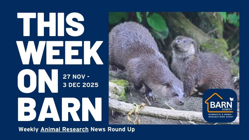 This week on BARN - animal research news from UAR members (27 November - 3 December 2025)
