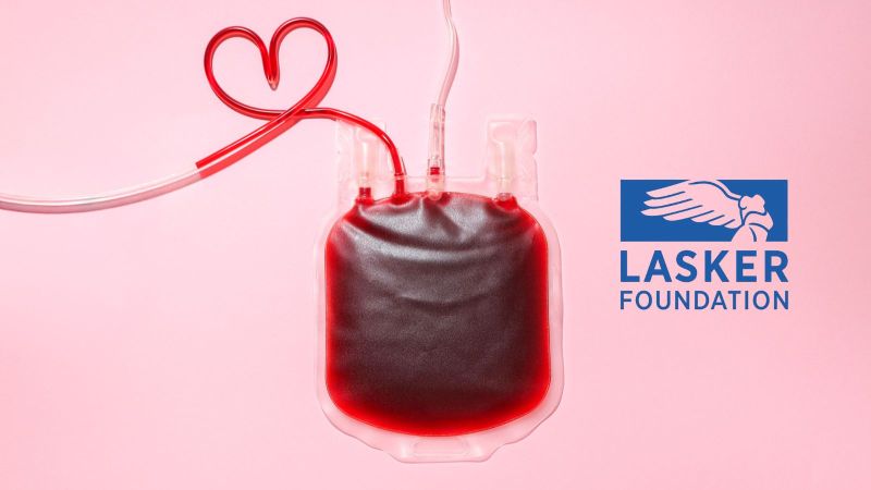 Preventing severe bleeding in haemophilia A patients – 2026 Lasker Prize