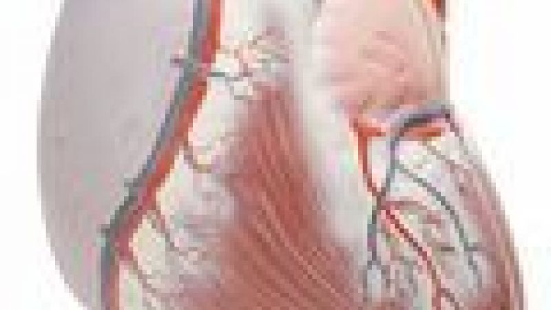 Heart stimulated to heal itself