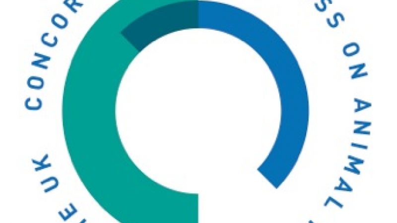 Concordat Annual Report 2015