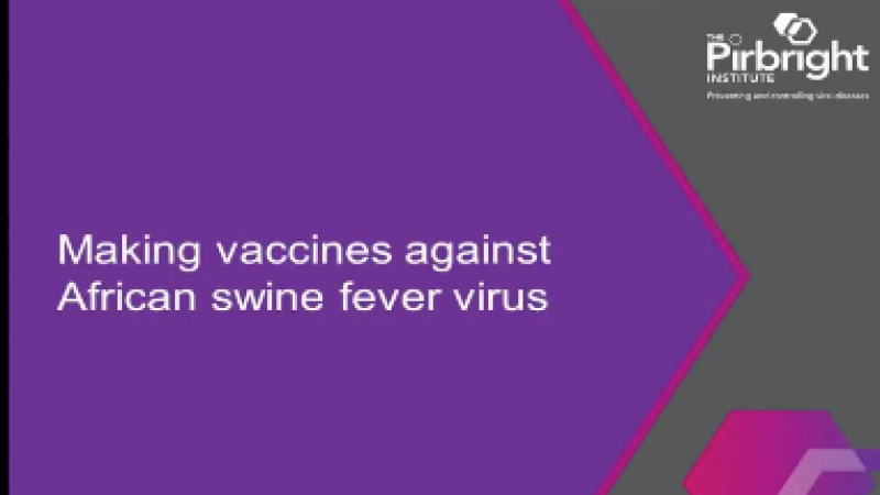 Making vaccines against African Swine Fever virus