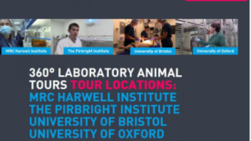 Look inside an animal laboratory