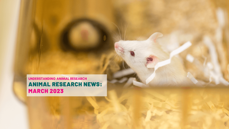 Animal Research News: March 2023