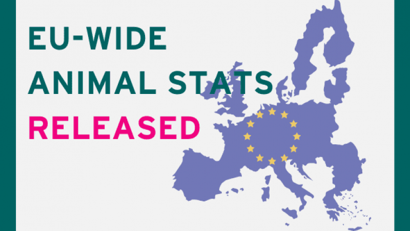 EU-wide animal research statistics, 2017