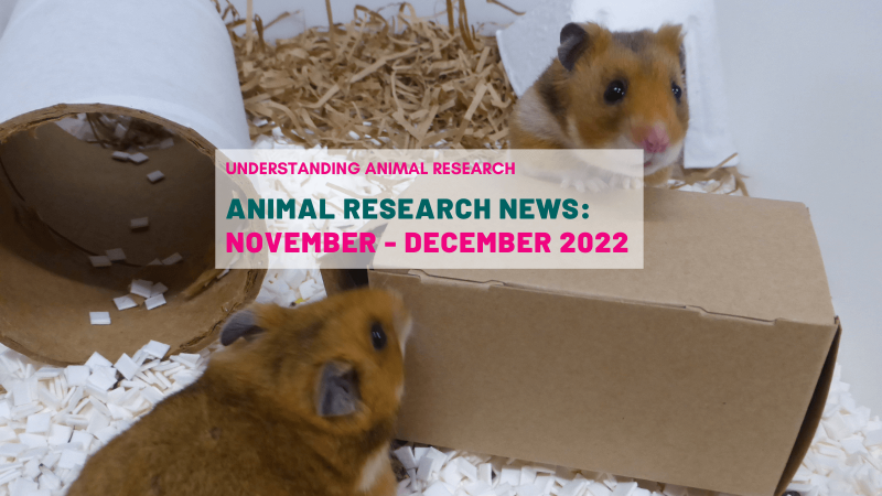 Animal Research News: November and December 2022