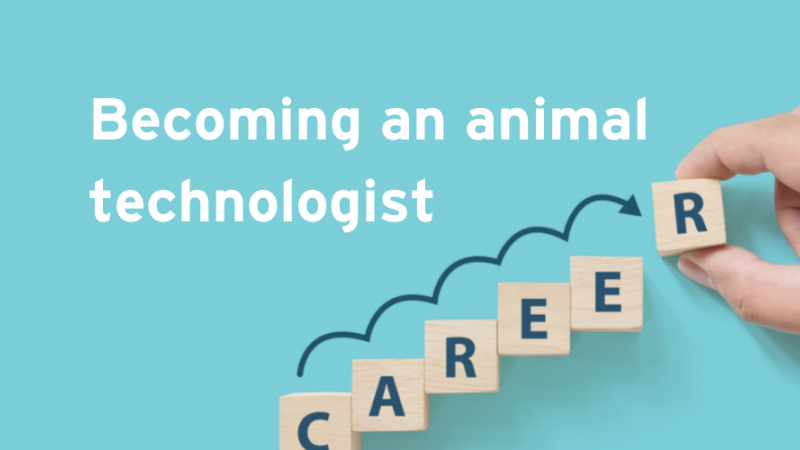 How to become an animal technologist?