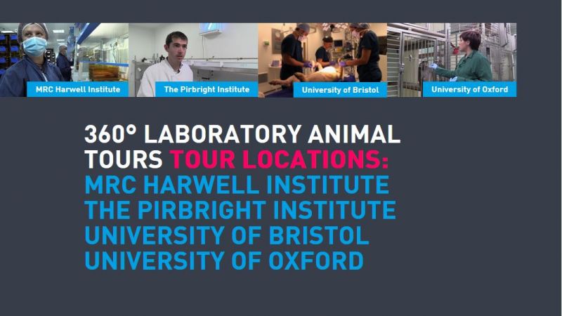 Four animal laboratories open their digital doors to the public