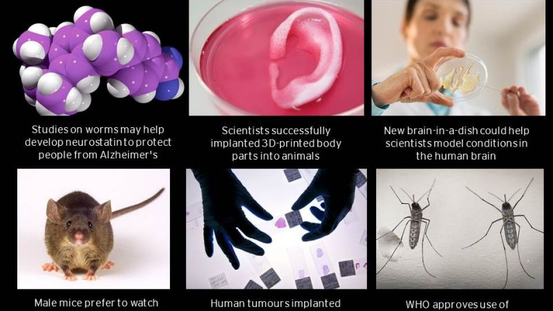 3D-printed body parts