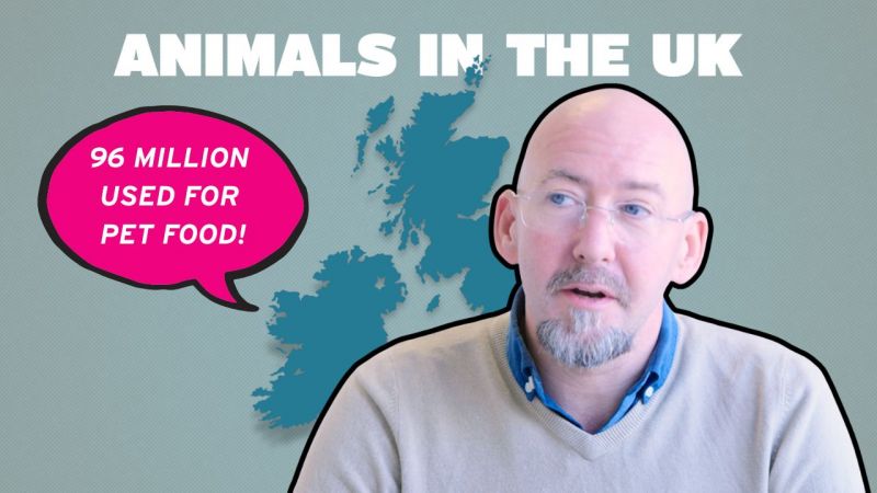 The incredible numbers behind UK animal use