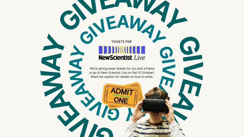 Win tickets to New Scientist Live, ExCel London, 10 October 2026