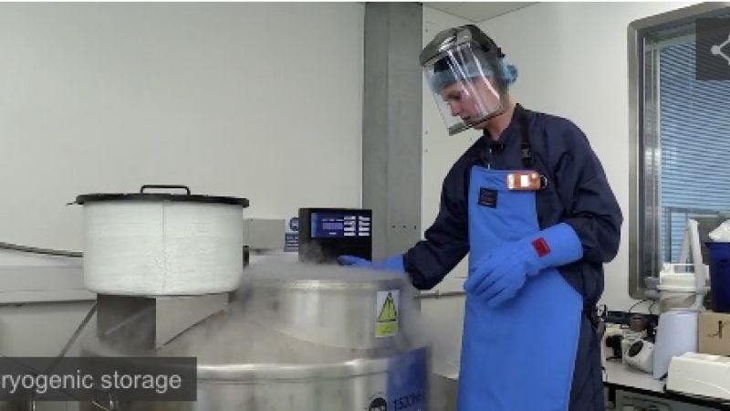 Cryogenic safety