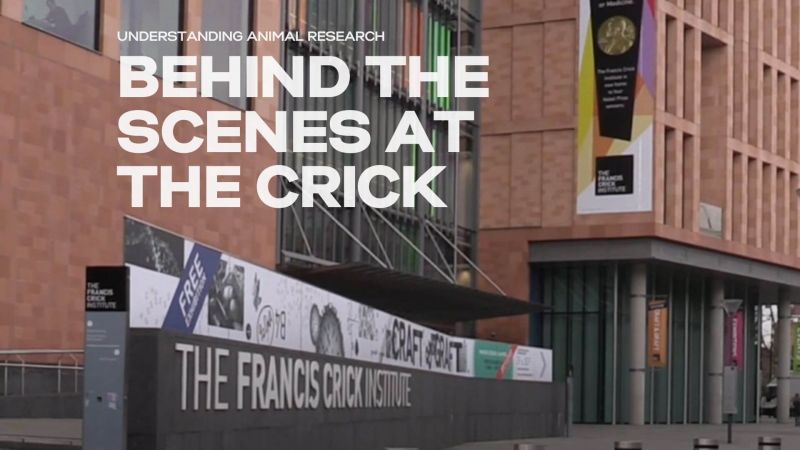 Behind the scenes at The Francis Crick Institute: working with different species in biomedical research