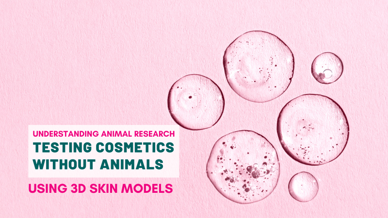 Testing skin care products without animals