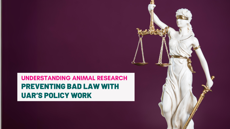 Preventing Bad Law with UAR's Policy Work