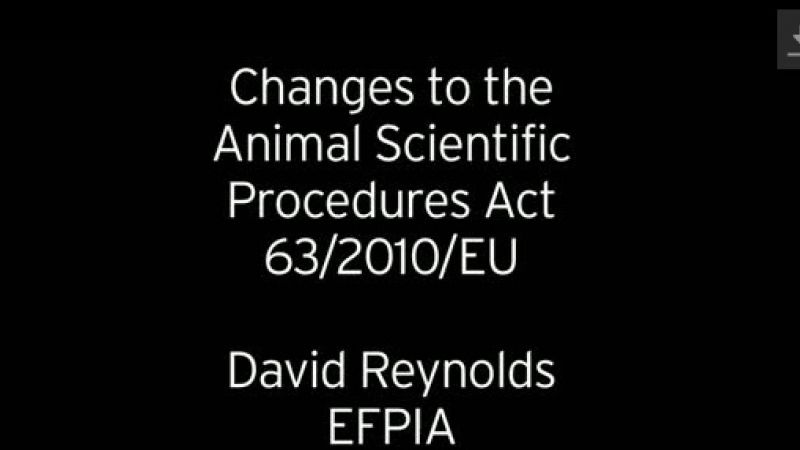 David Reynolds, EFPIA, discusses 2010 European Directive on Animal Scientific Procedures