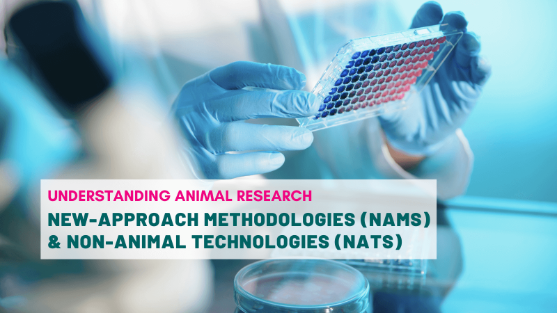 New-Approach Methodologies (NAMs) and Non-Animal Technologies (NATs)