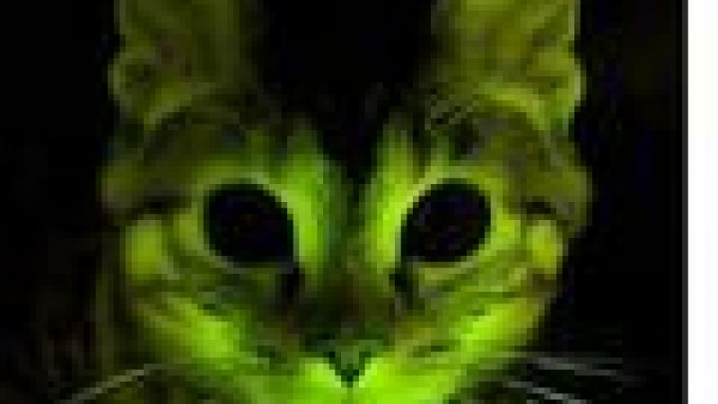 'Glow in the dark' cats aids HIV research