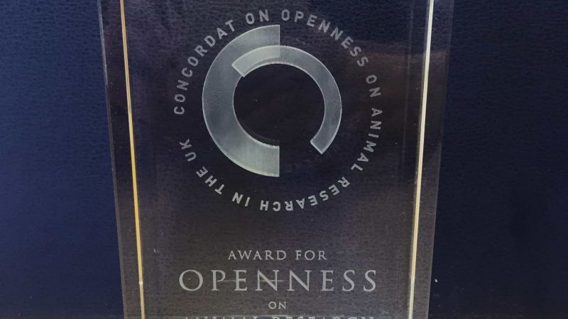 79th Paget Lecture and Second Annual Openness Awards 2015