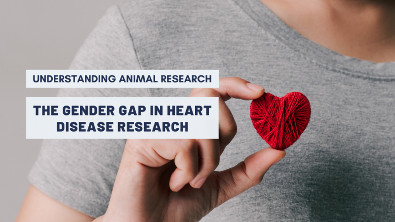 The gender gap in heart disease research