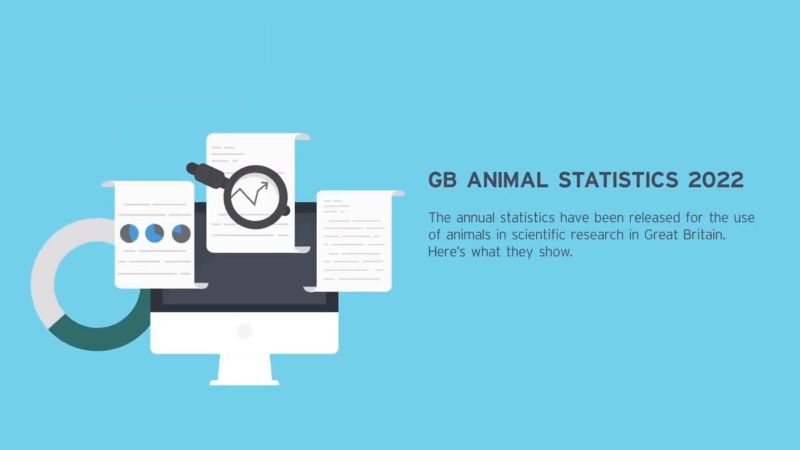 Animal Research Statistics Great Britain (2022)