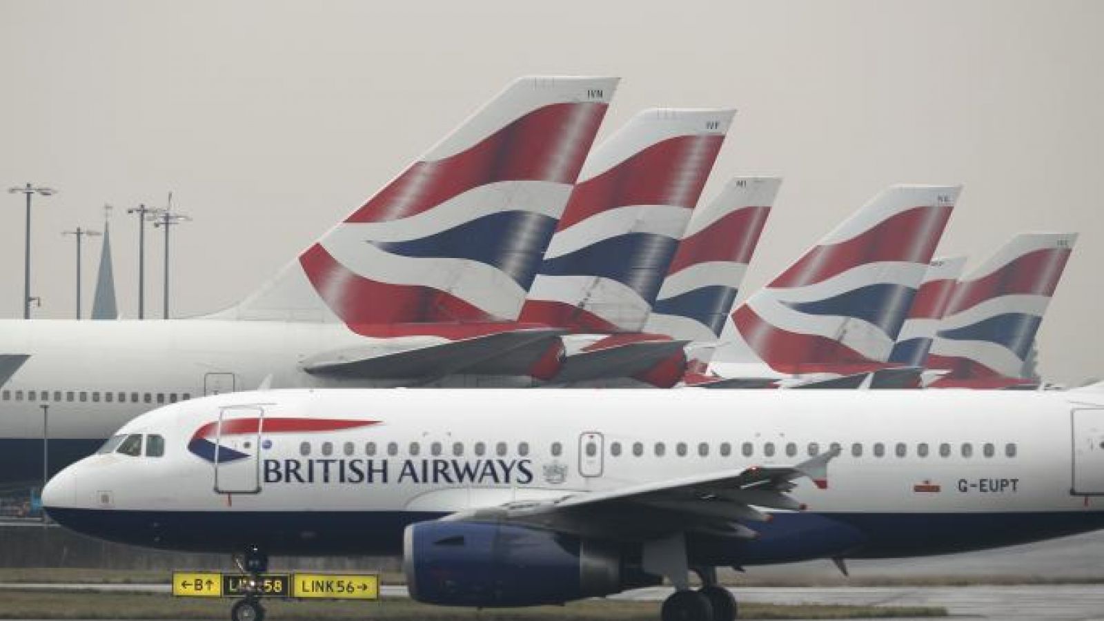 BA faces legal challenge for refusing to fly lab animals