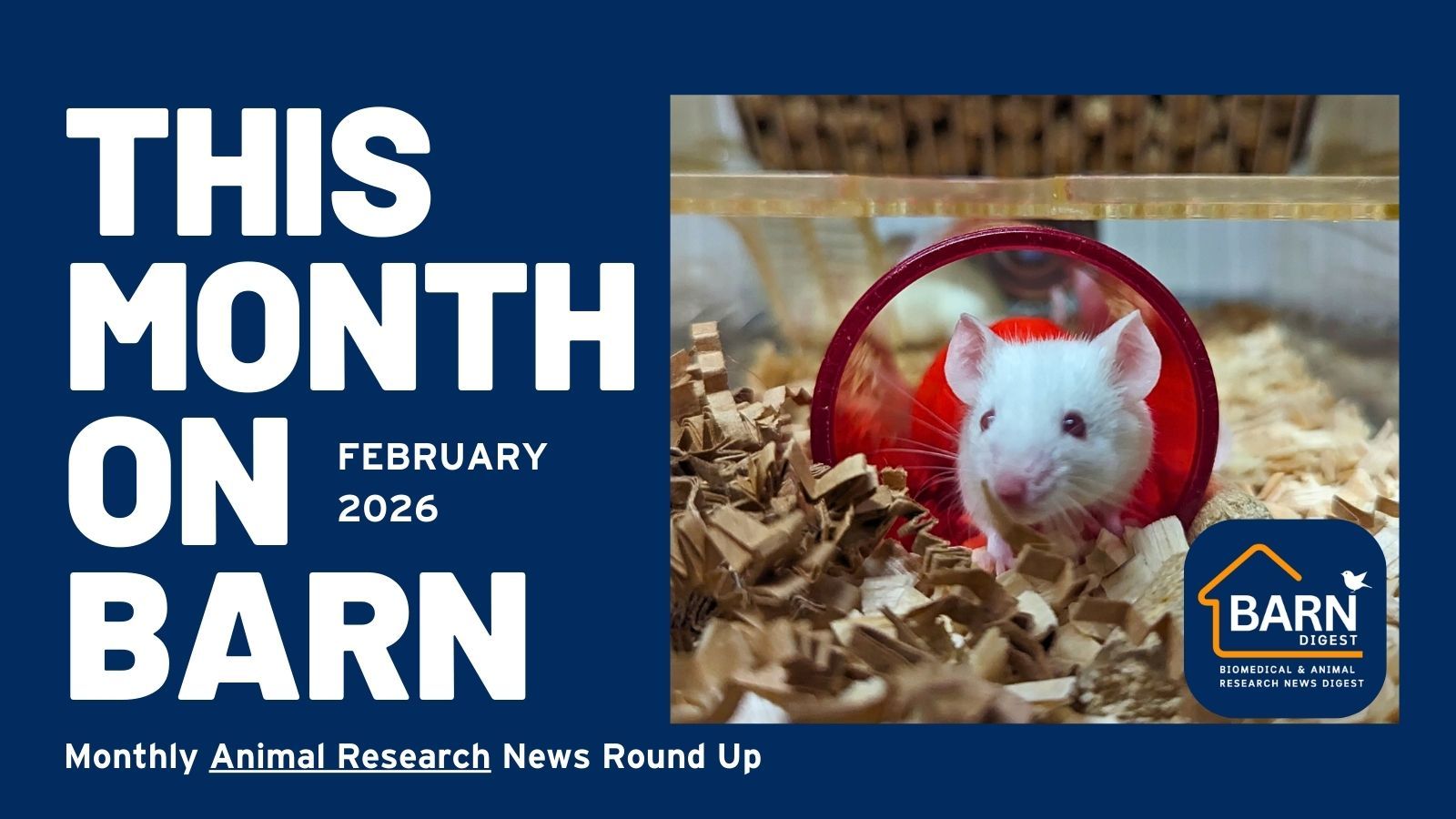 This month on BARN - animal research news from UAR members (February 2026)