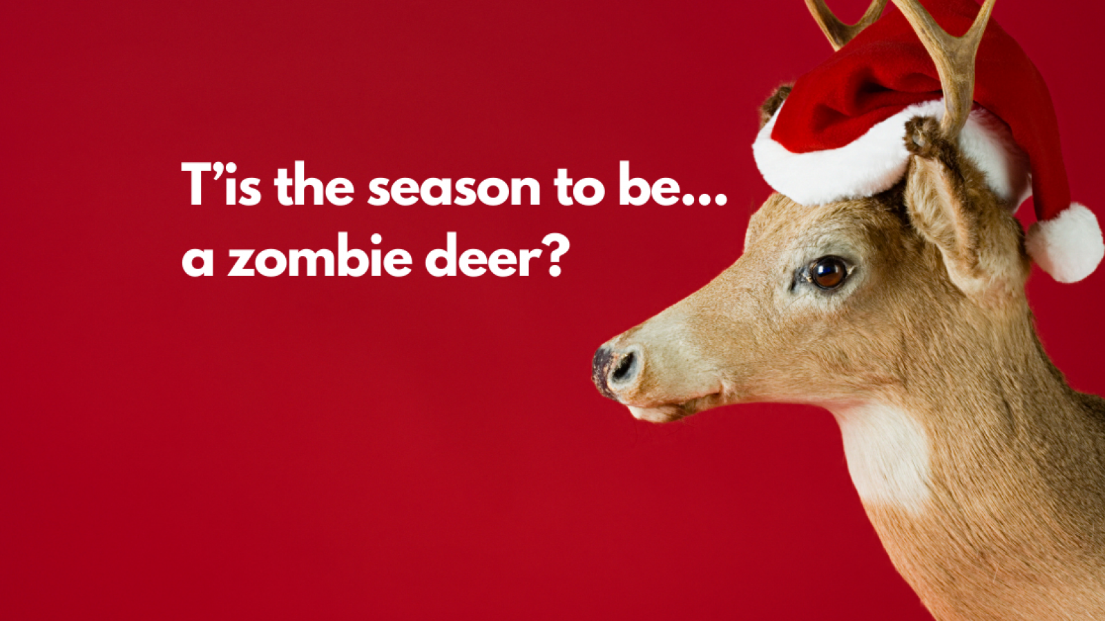 T'is the season to be ... a zombie deer?
