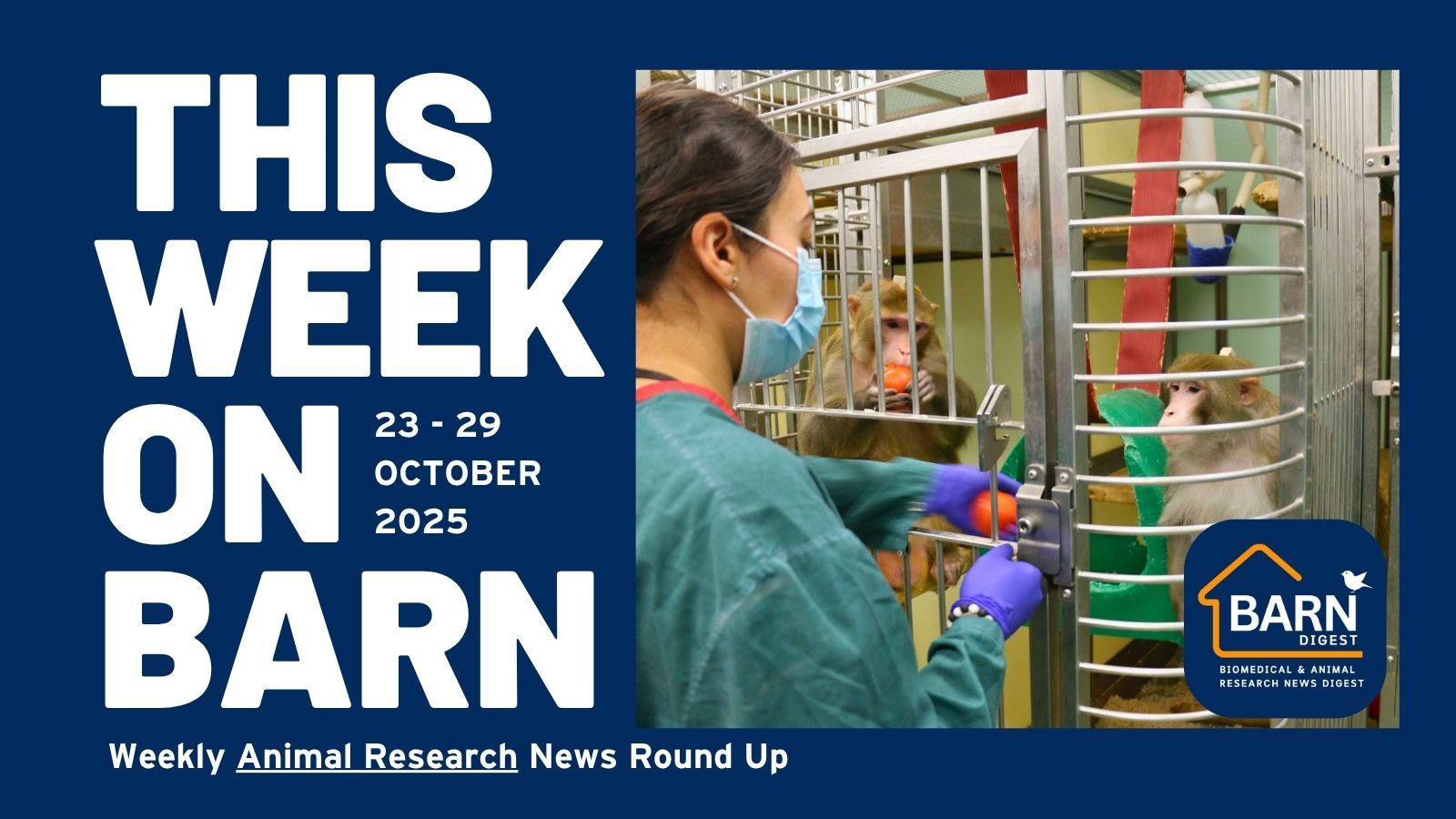 This week on BARN - animal research news from UAR members (23 - 29 October 2025)
