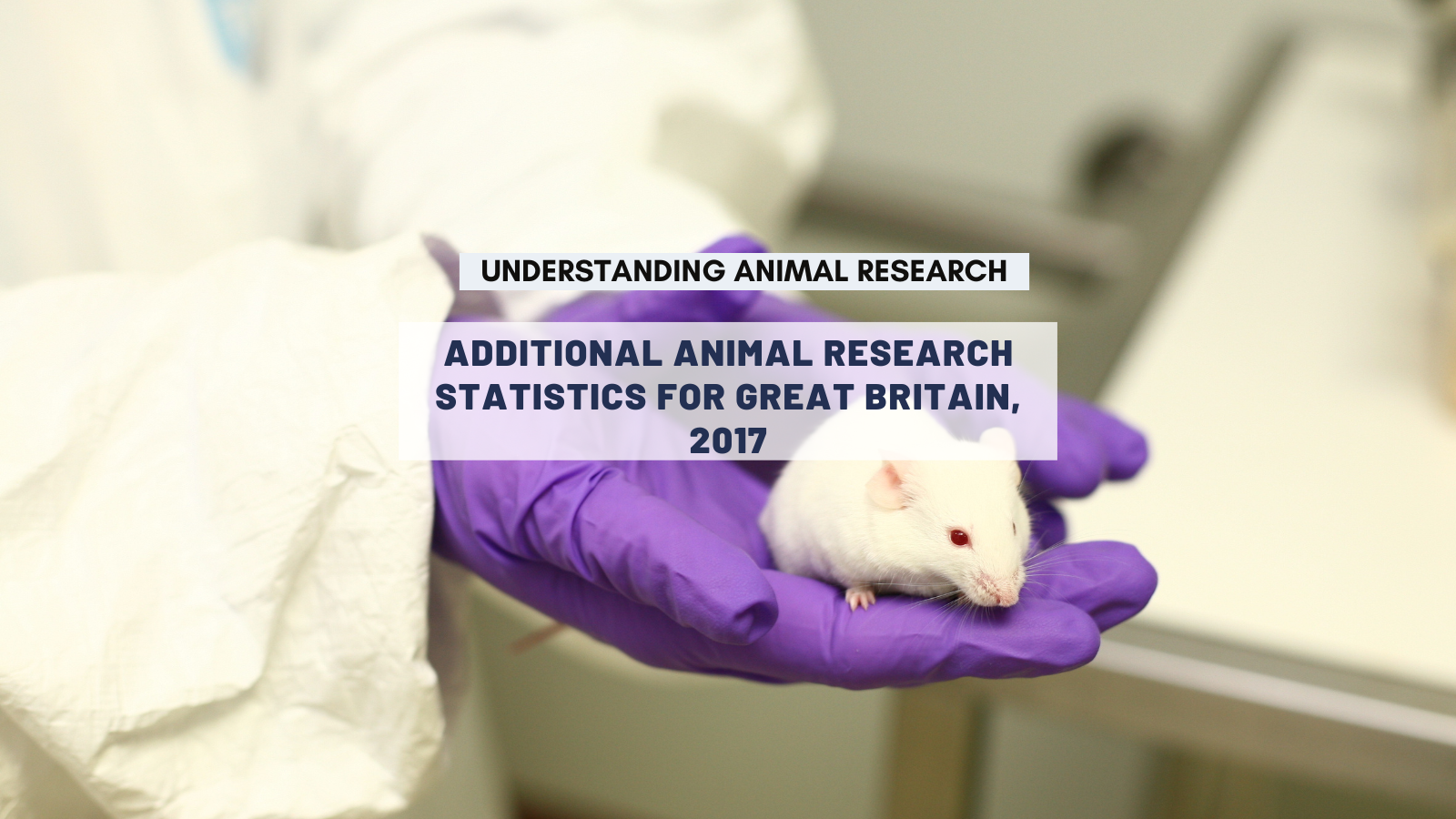 Additional animal research statistics for Great Britain, 2017