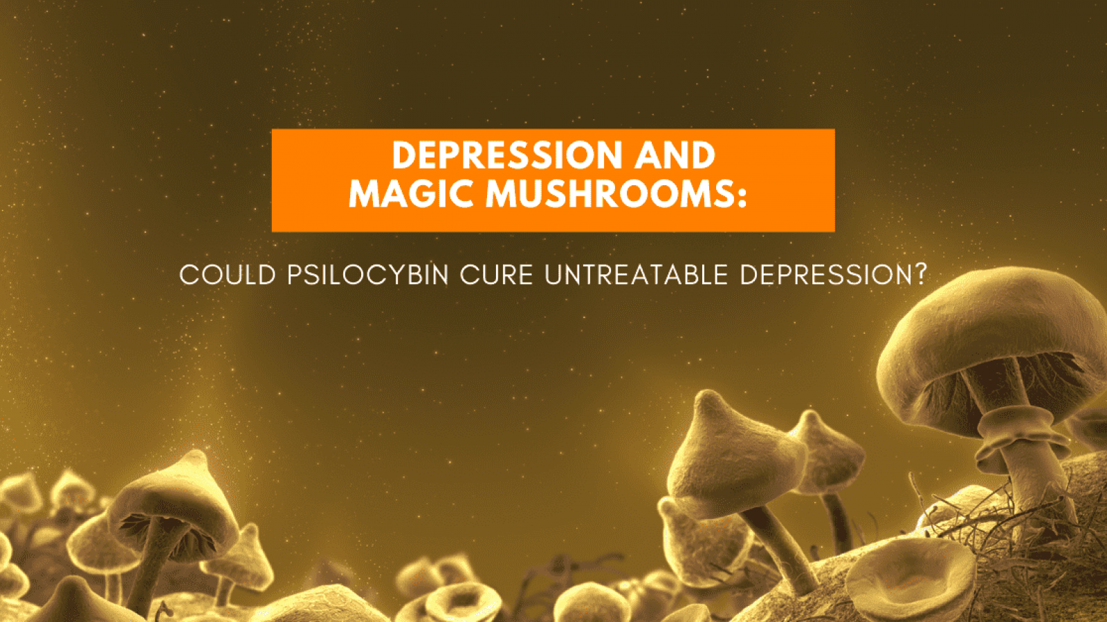 Depression and magic mushrooms: could synthetic psilocybin cure untreatable depression?