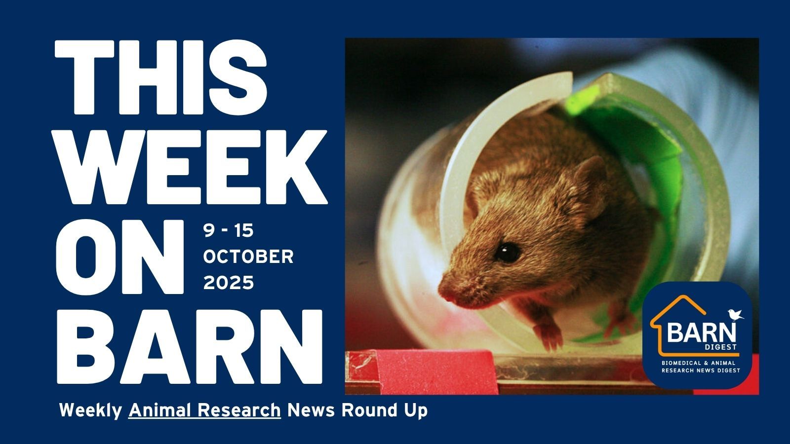 This week on BARN - animal research news from UAR members (9 - 15 October 2025)