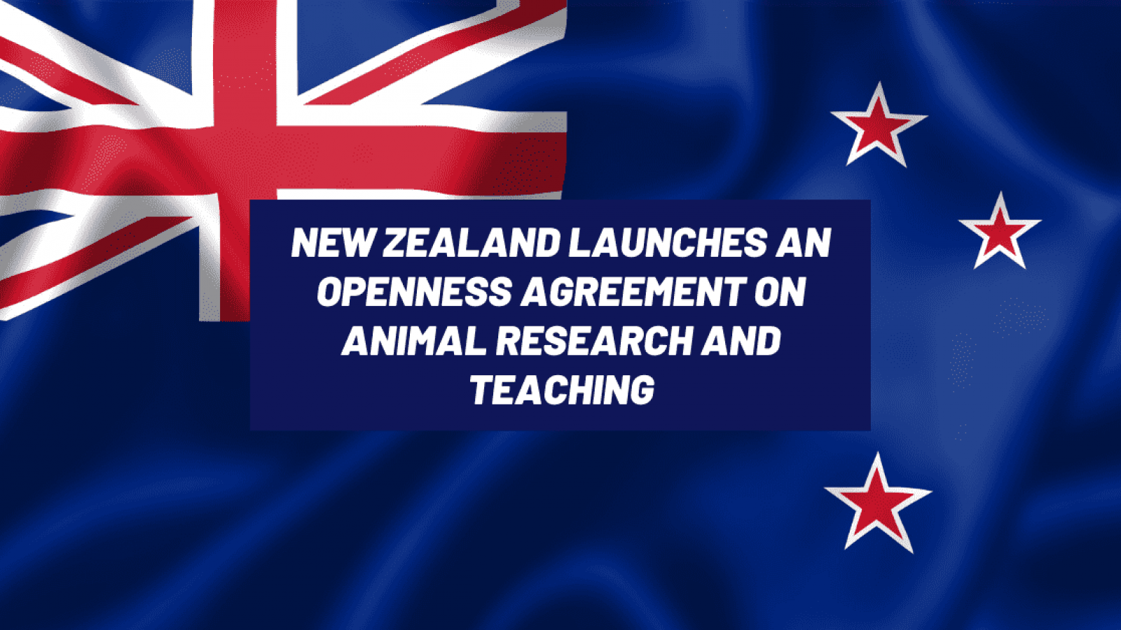 New Zealand launches an Openness Agreement on Animal Research and Teaching