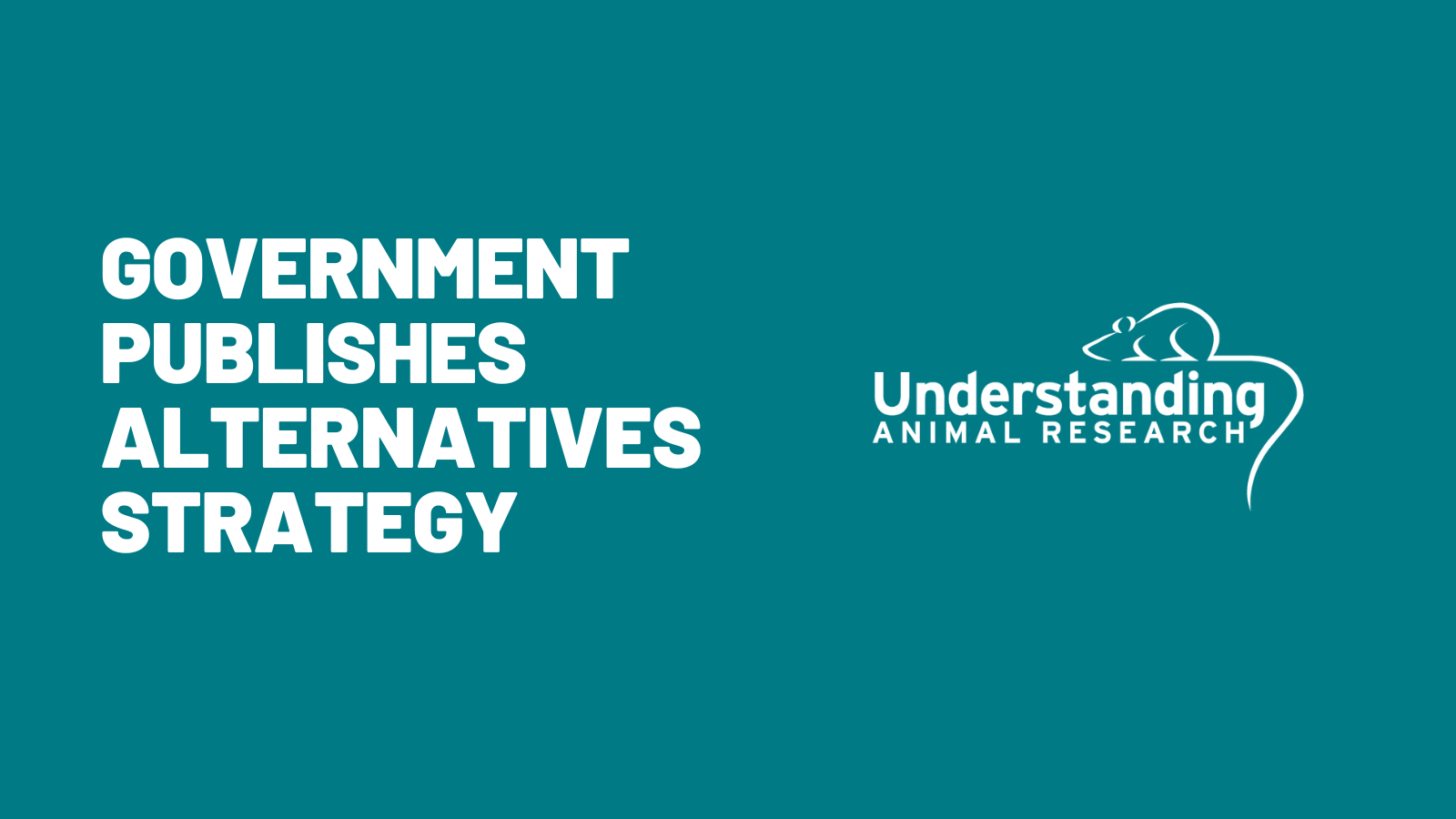 Government publishes alternatives strategy