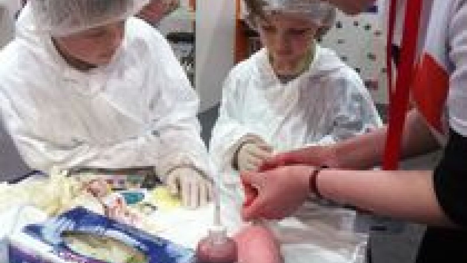 The importance of teaching about animal reseach in schools