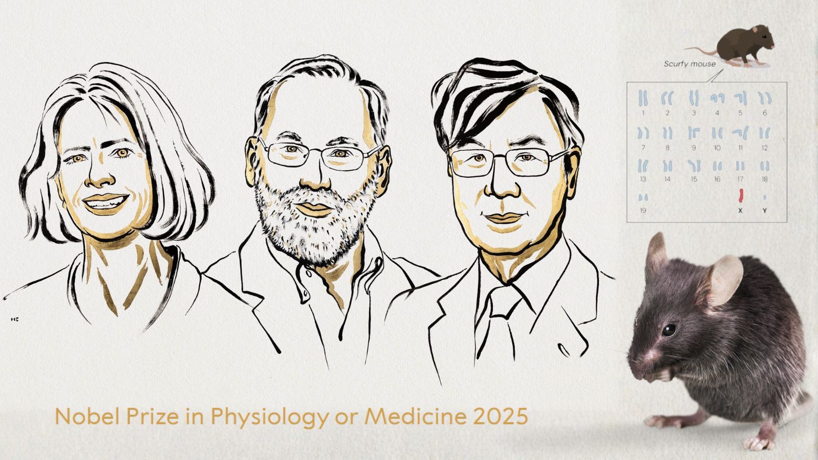 The animal research behind the 2025 Nobel Prize in Physiology or Medicine: keeping the immune system in check