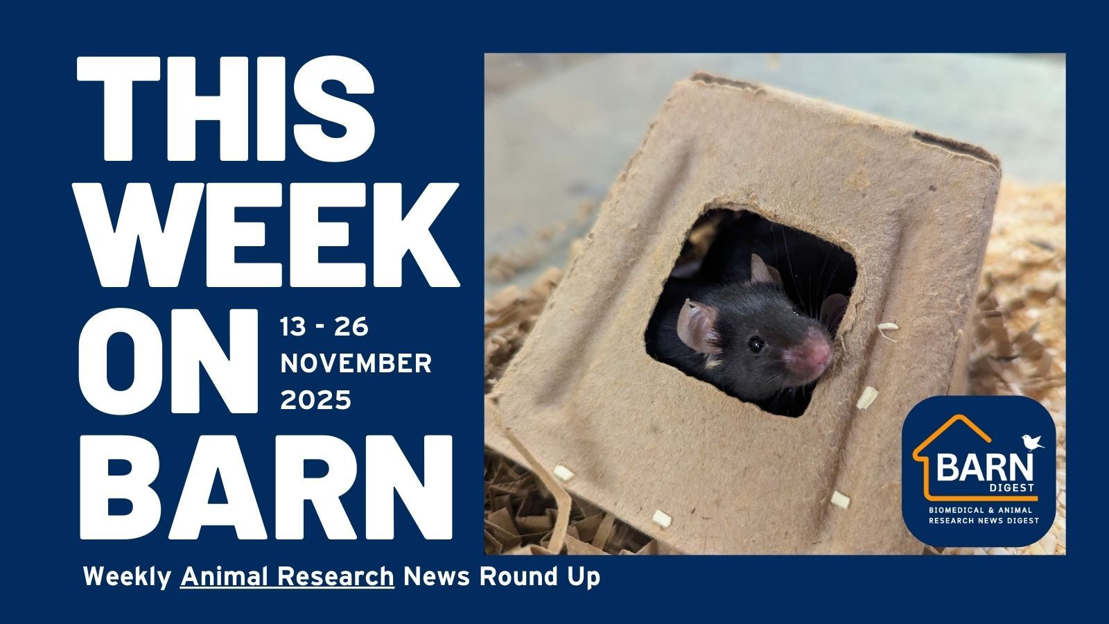 This week on BARN - animal research news from UAR members (13 November - 26 November 2025)