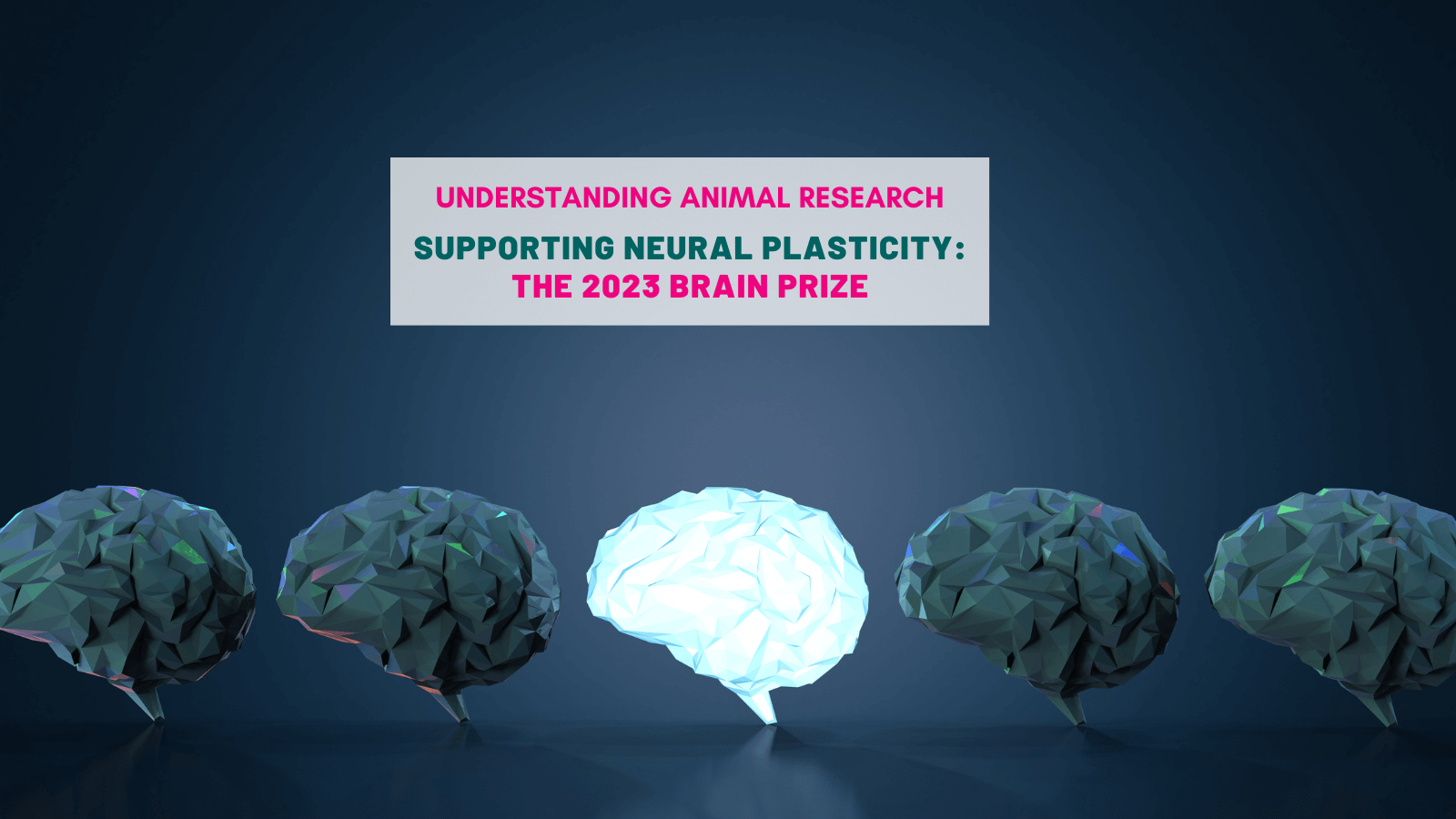 Supporting neural plasticity – the 2023 Brain prize