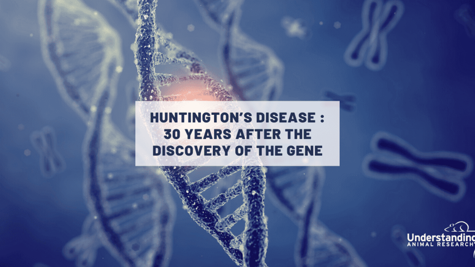 Huntington’s disease: 30 years after the discovery of the gene