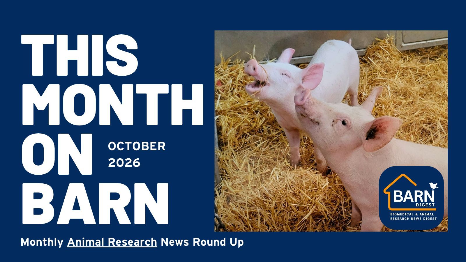 This month on BARN - animal research news from UAR members (October 2026)