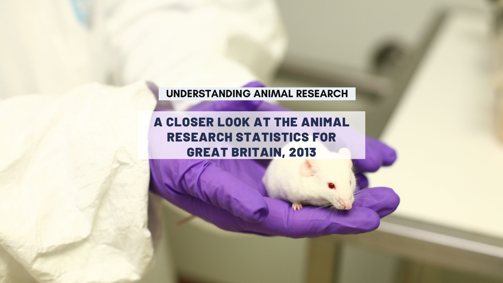 A closer look at the animal research statistics for Great Britain, 2013