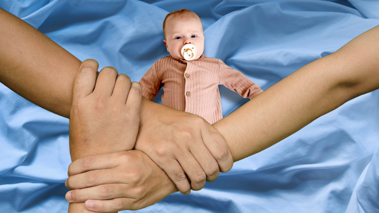 The animal research behind “three-parent babies” born from mitochondrial donation