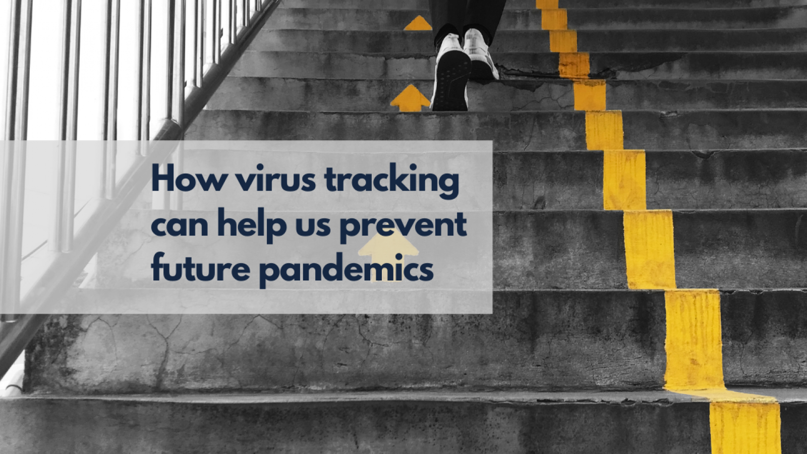 How virus tracking can help us prevent future pandemics
