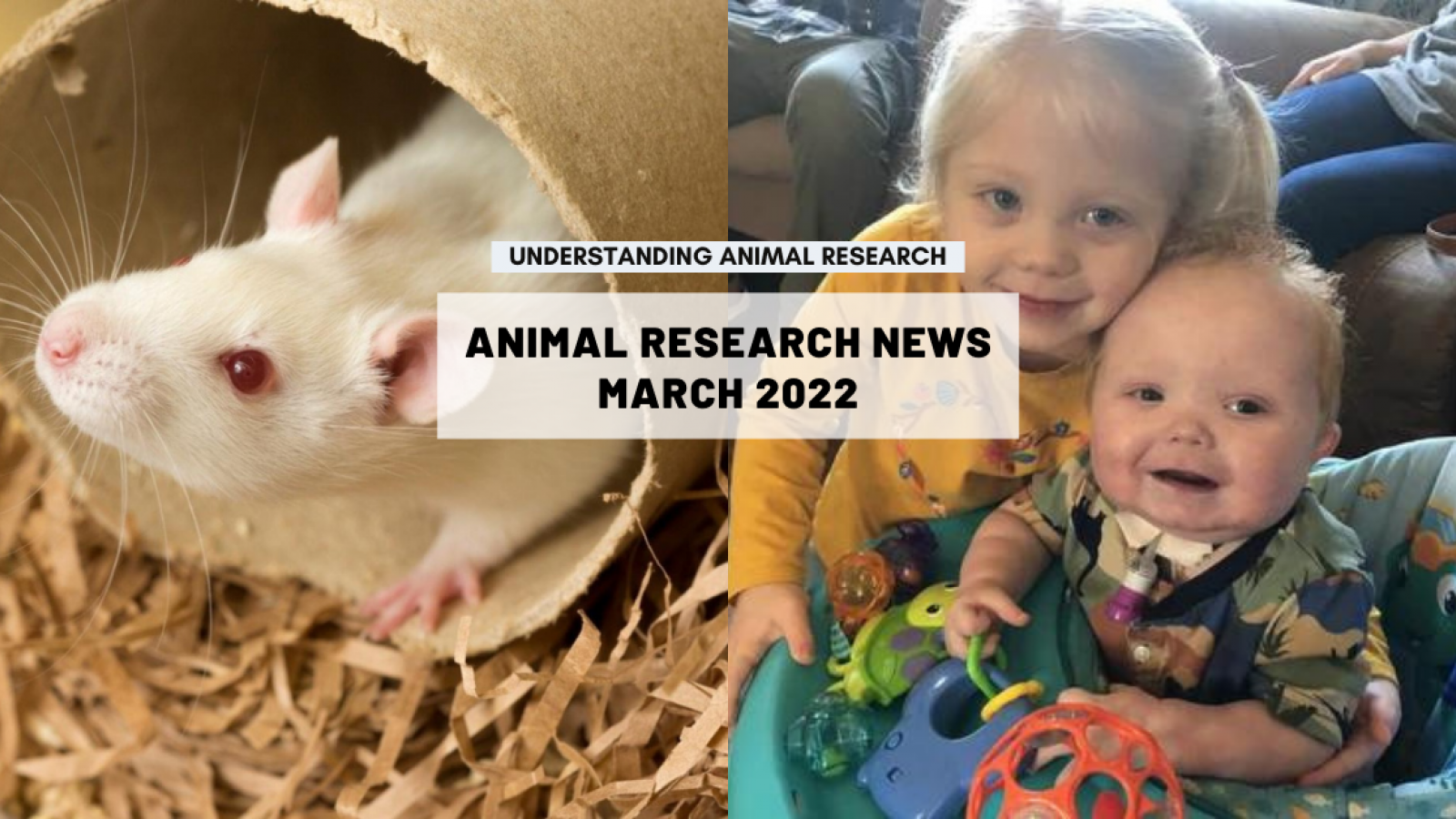 Animal research news: March 2022