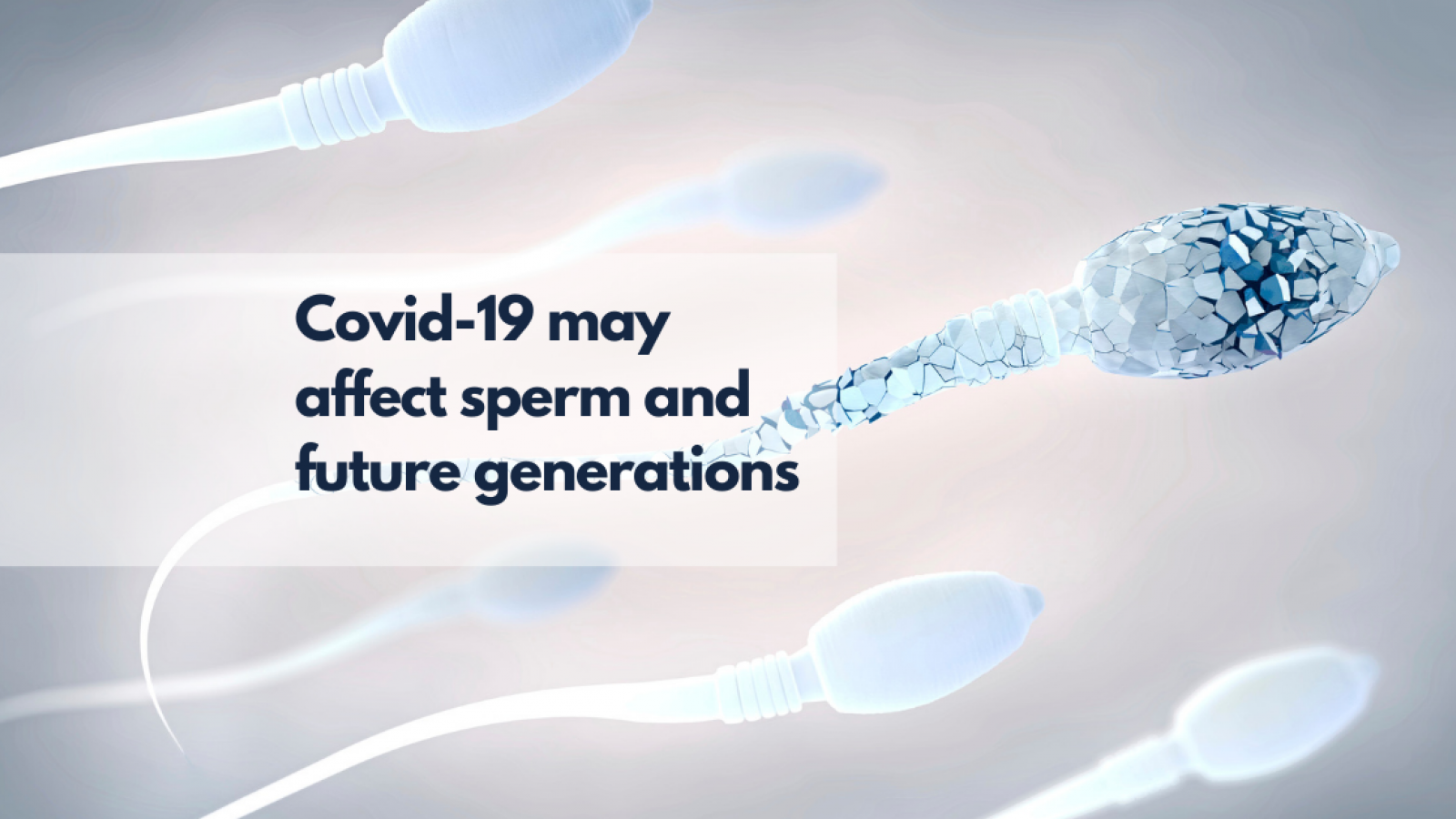 Covid-19 may affect sperm and future generations