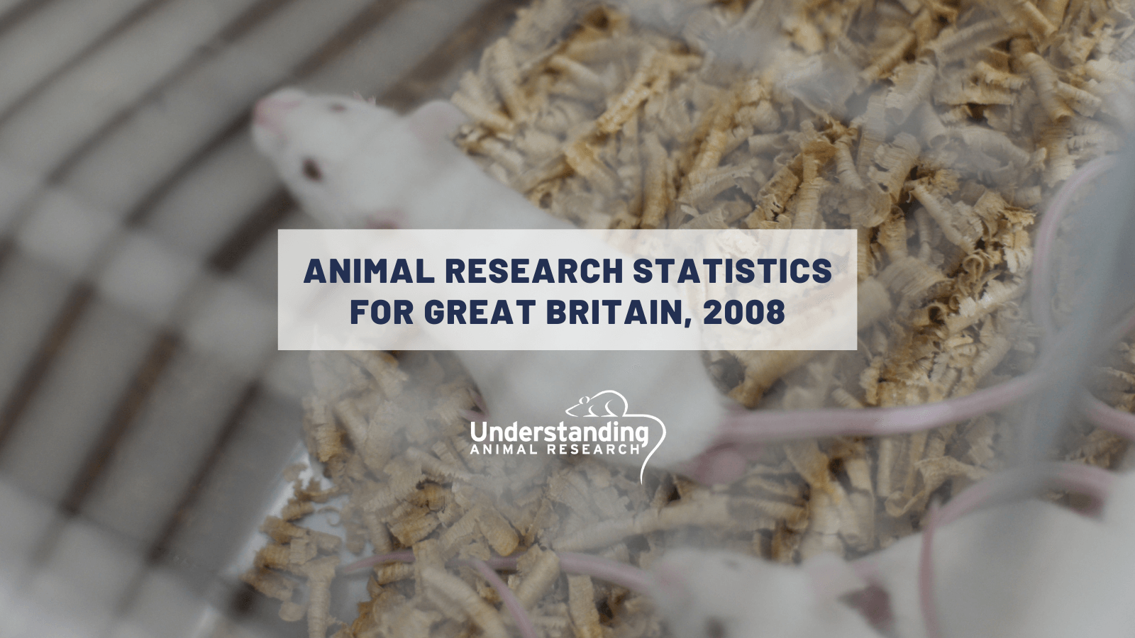 Animal research statistics for Great Britain, 2008