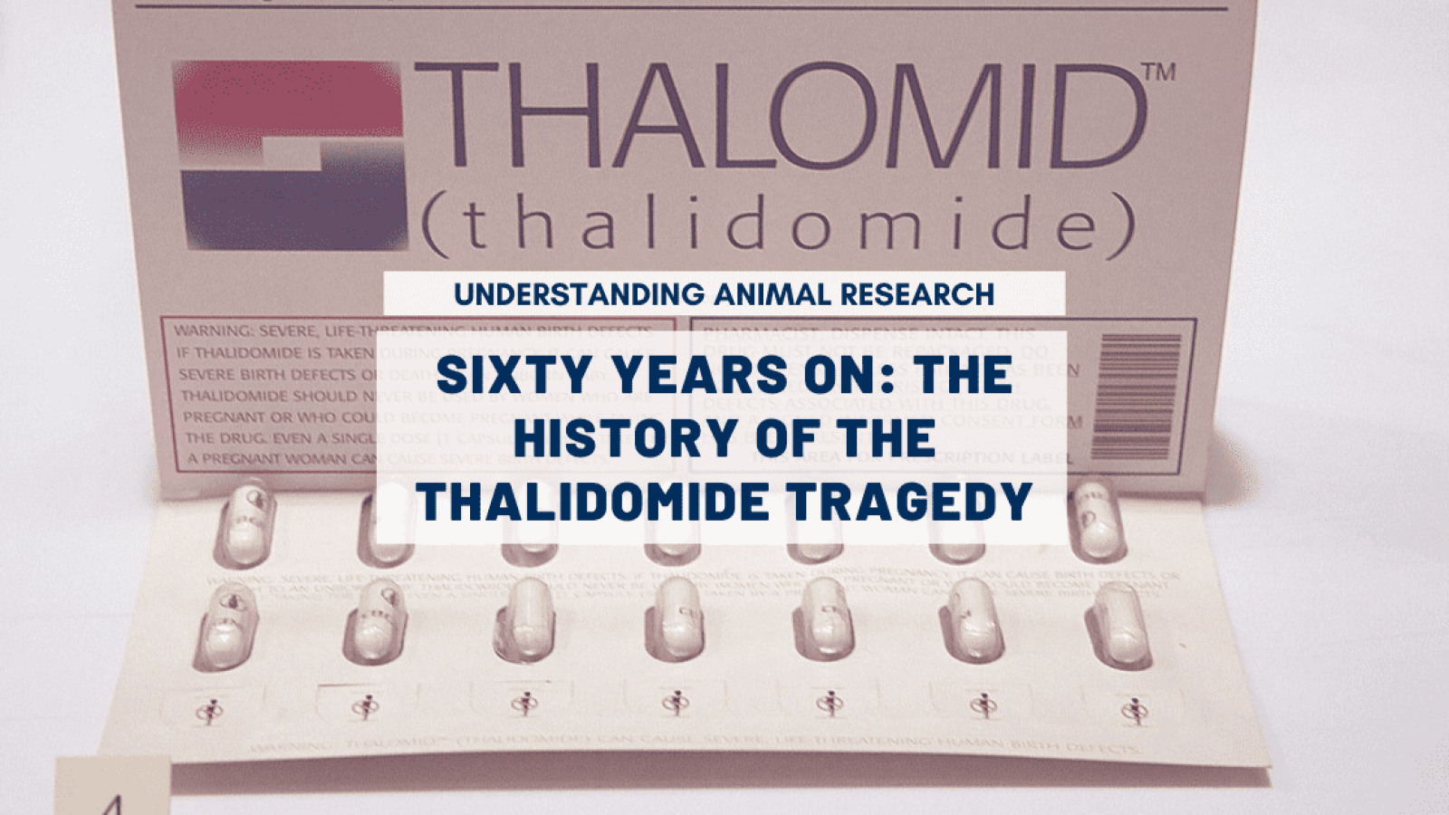 Sixty years on: the history of the thalidomide tragedy